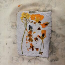 Activité jardinage : création de papiers décorés avec des fleurs