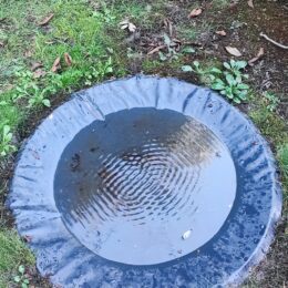 Visite dans la galerie Le Guern