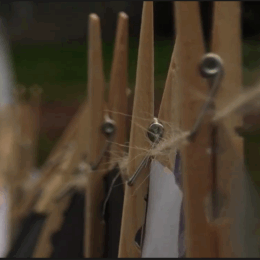 La Grande Lessive au LFV